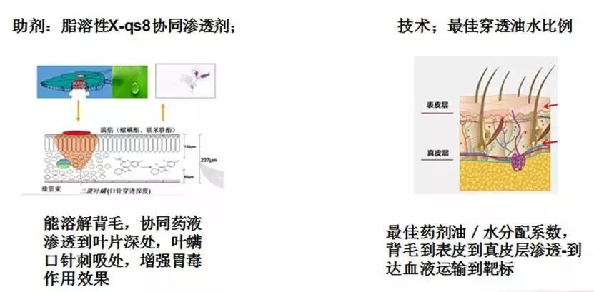 花椒水治打呼噜的原理_花椒泡水能治打鼾吗