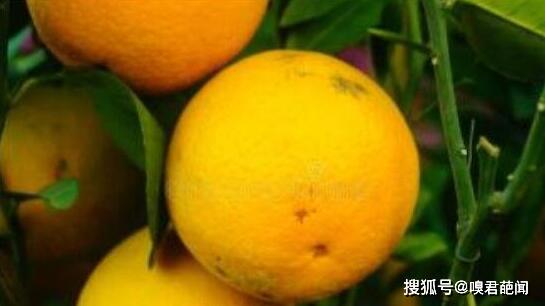 9d2a875a8d004065b89e478a50f2a2eb.jpeg