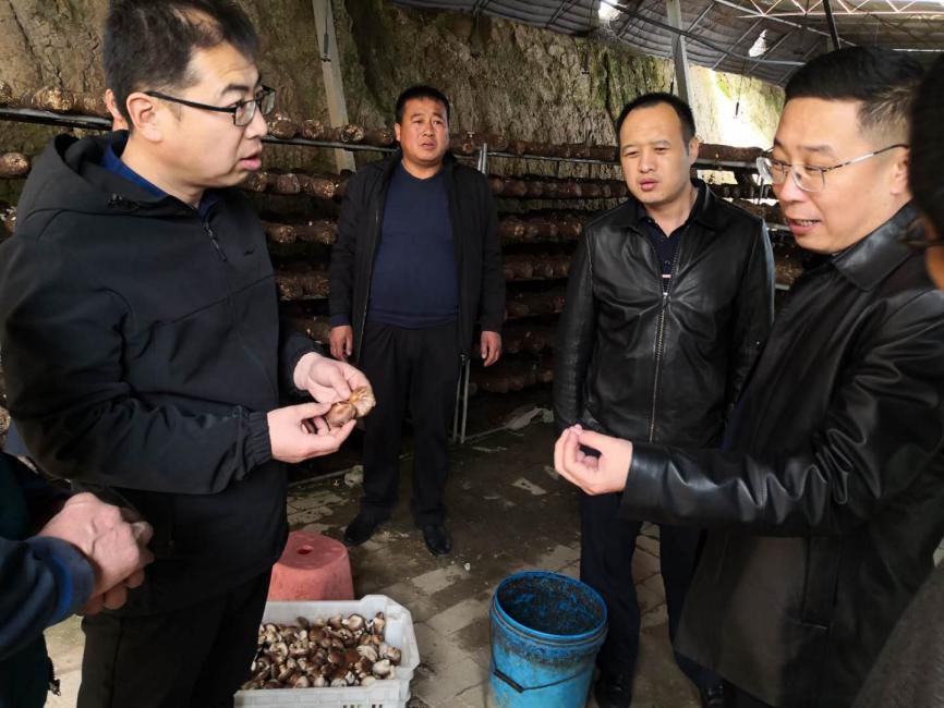 3月18日,文水县委副书记刘大鹏深入孝义镇,就脱贫攻坚,美丽乡村建设