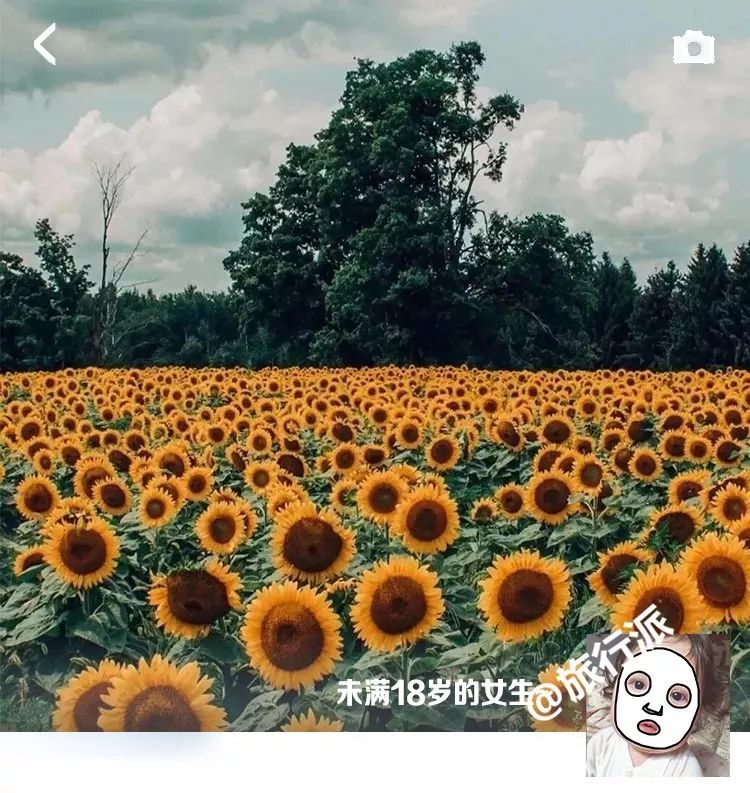 抖音超火朋友圈背景图用了就是朋友圈最靓的仔