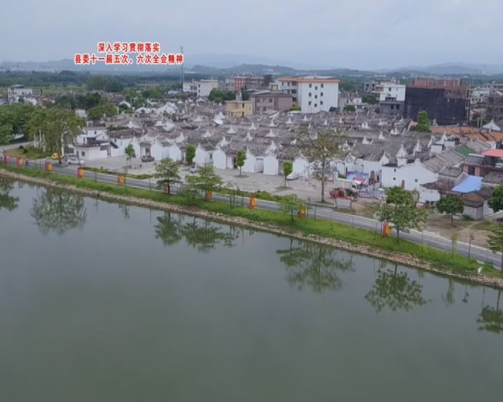 金和镇山湖村:注重生态建设打造森林乡村