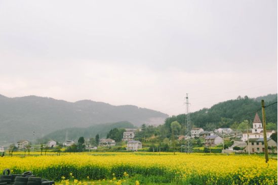 永定区新桥镇人口_张家界市永定区地图