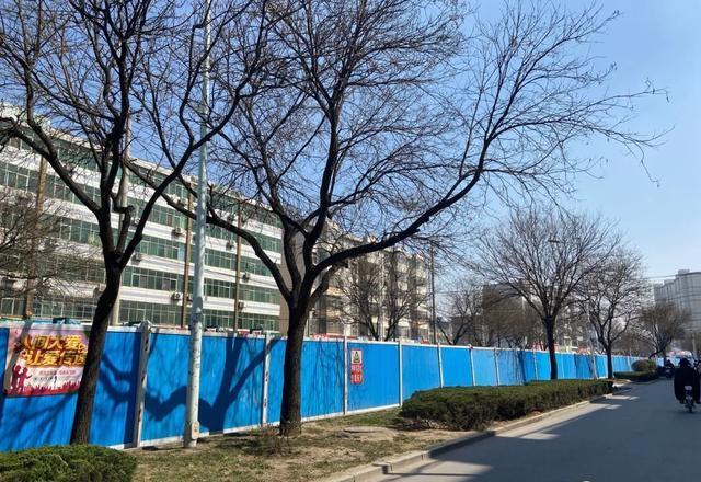 衡水市人口有多少人口