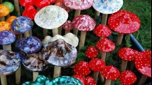 忽然一周 | 郴州市民外出踏青勿采食毒蘑菇