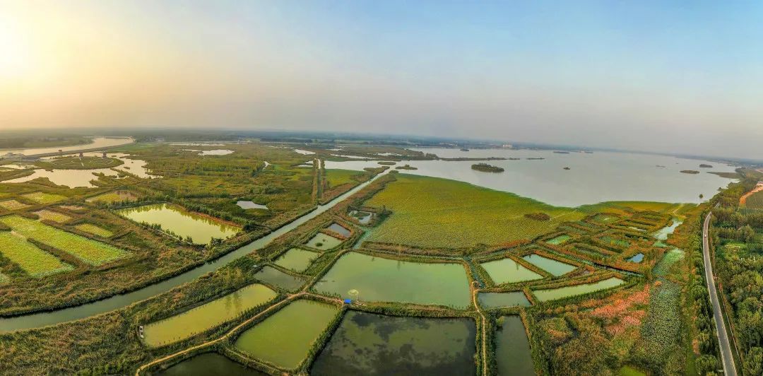 单县浮龙湖打造生态旅游新乐园!