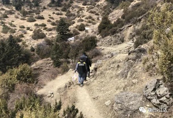岩比乡人口_新加坡人口结构占比图