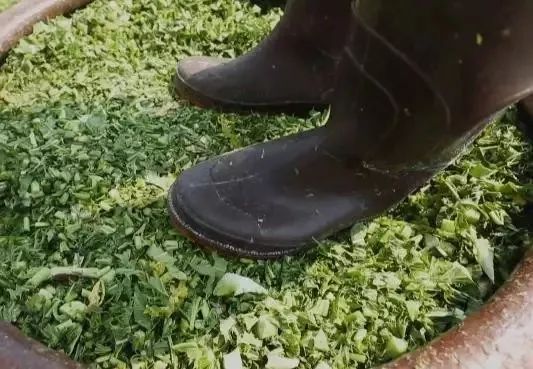 干菜■竟站在缸上...?要火！诸暨一宝宝