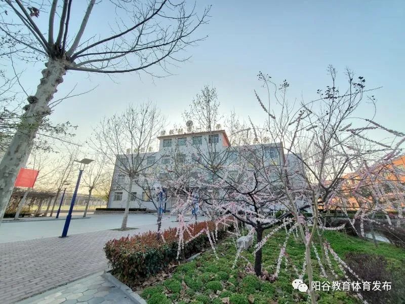阳谷一中你想念的春日校园,这样美!
