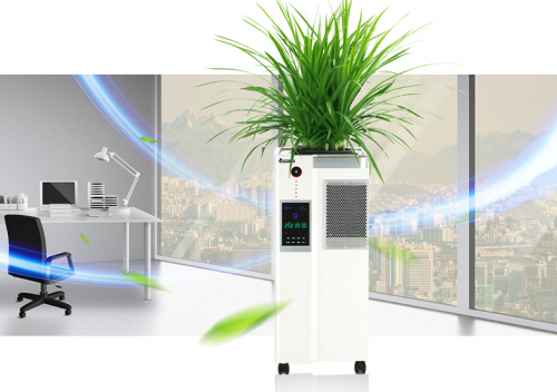 怎样去除新房甲醛最有效 f21bcf9e27d4455ba023e50975032b30.png