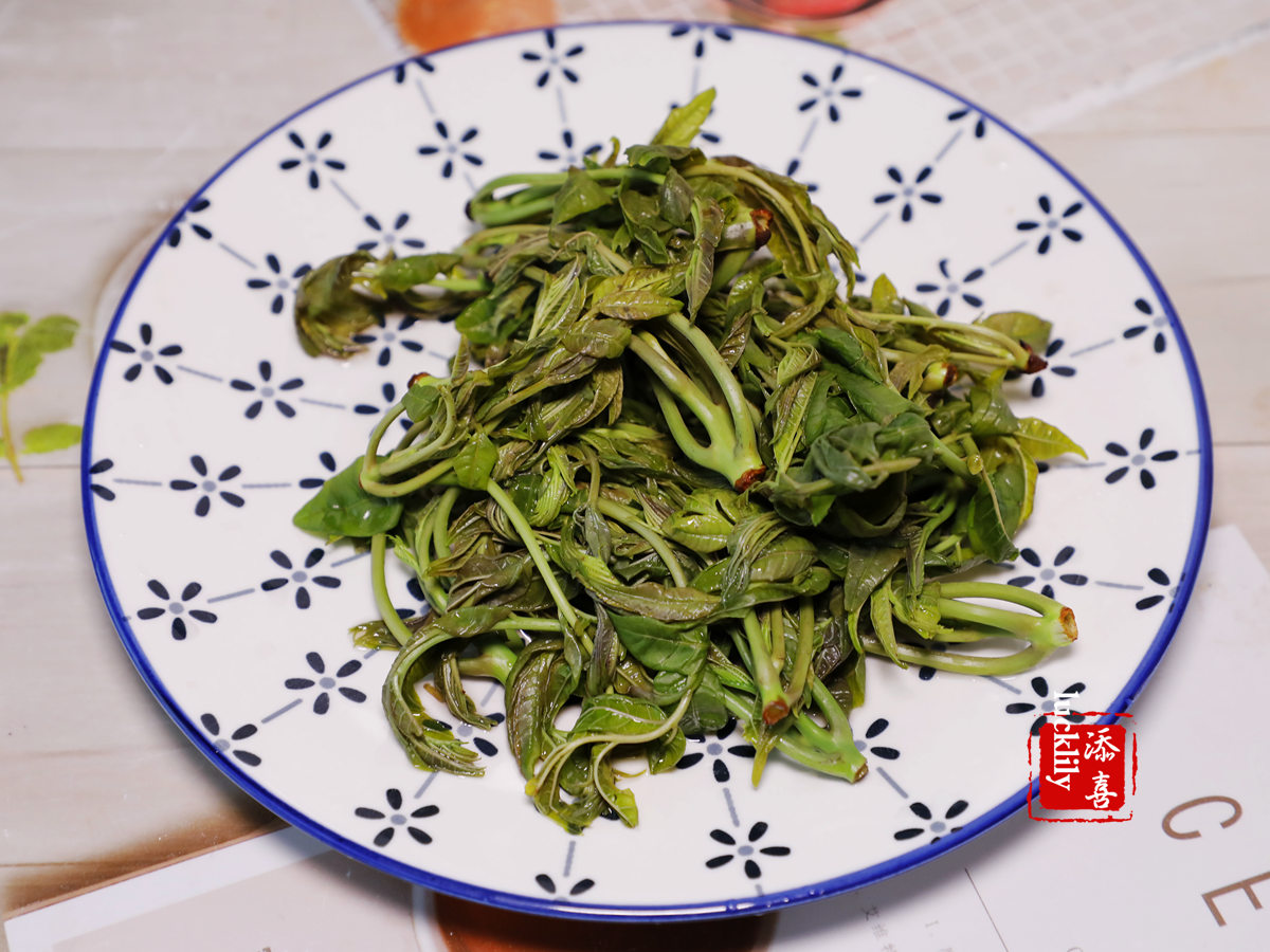 【添喜的厨房】最近千万别错过!用这一种嫩芽来炒蛋,满满都是春天的味道 【添喜的厨房】最近千万别错过!用这一种嫩芽来炒蛋,满满都是春天的味道