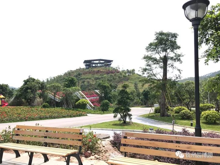 明起,钦州园博园,千年古陶城景区恢复开放