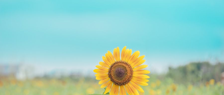 「时刻」静下来，往前走，你就赢了！致高三学生：艰难时刻