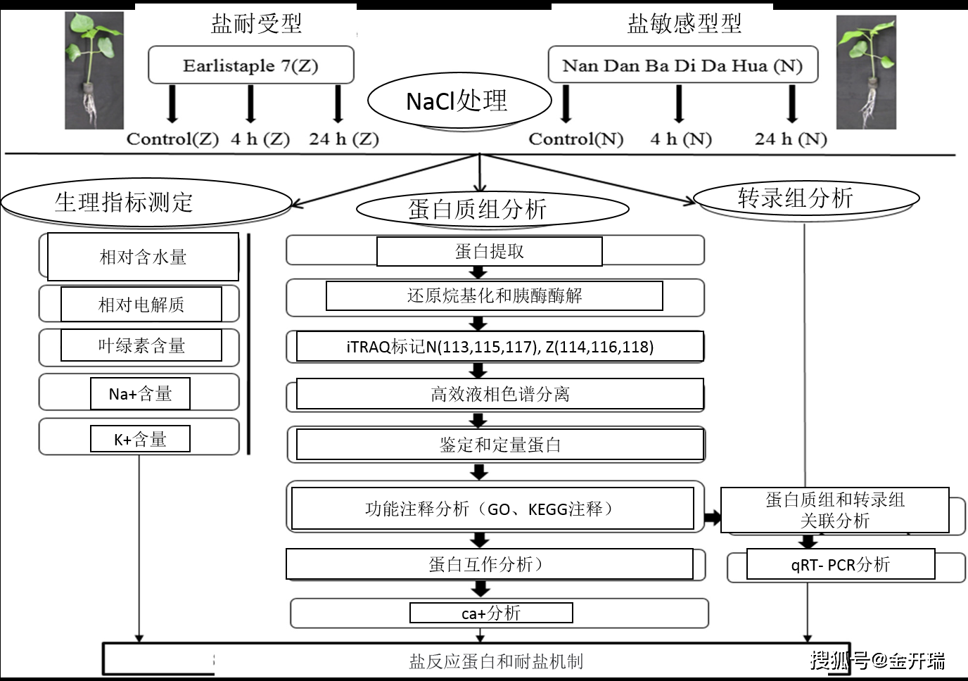 图13 实验流程图