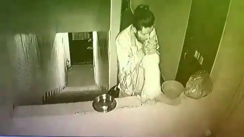 网友:还吸到扭腰跳舞,网友:重度成瘾没救了!男子看到流浪猫后竟这样吸猫