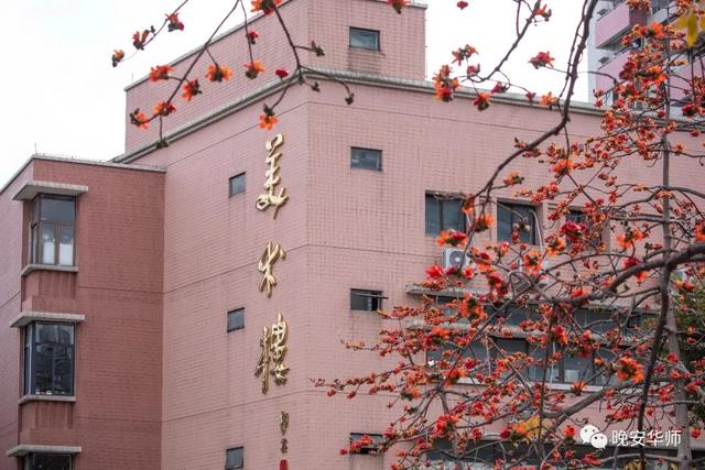 「校园」大学的花都开了,我却还没上学呀春意正浓