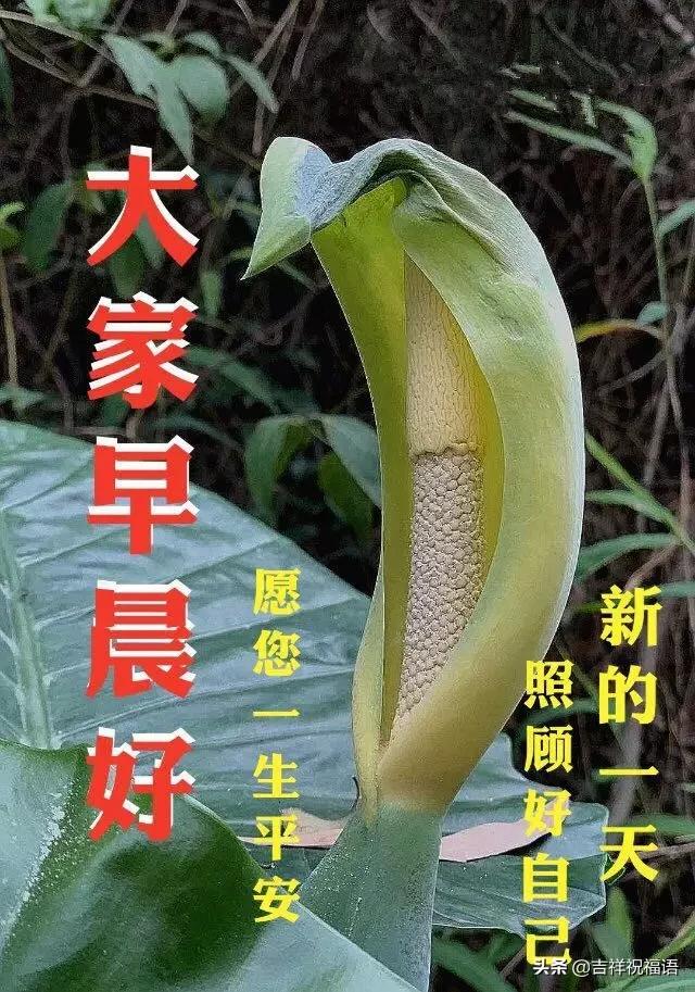 2020鼠年早上好祝福语简短 3月23日周一春天早安表情图片免打字
