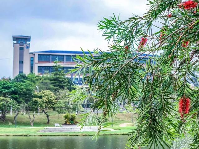 「校园」大学的花都开了，我却还没上学呀春意正浓