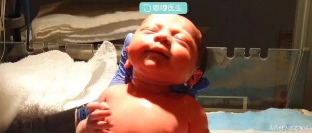 【存储】脐带血存储：商业骗局还是生命保险？