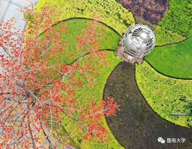 「校园」大学的花都开了,我却还没上学呀春意正浓