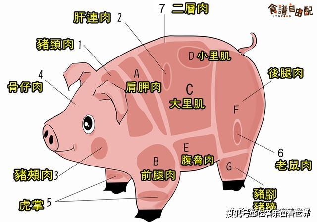猪各部位肉的名称图片及料理方式