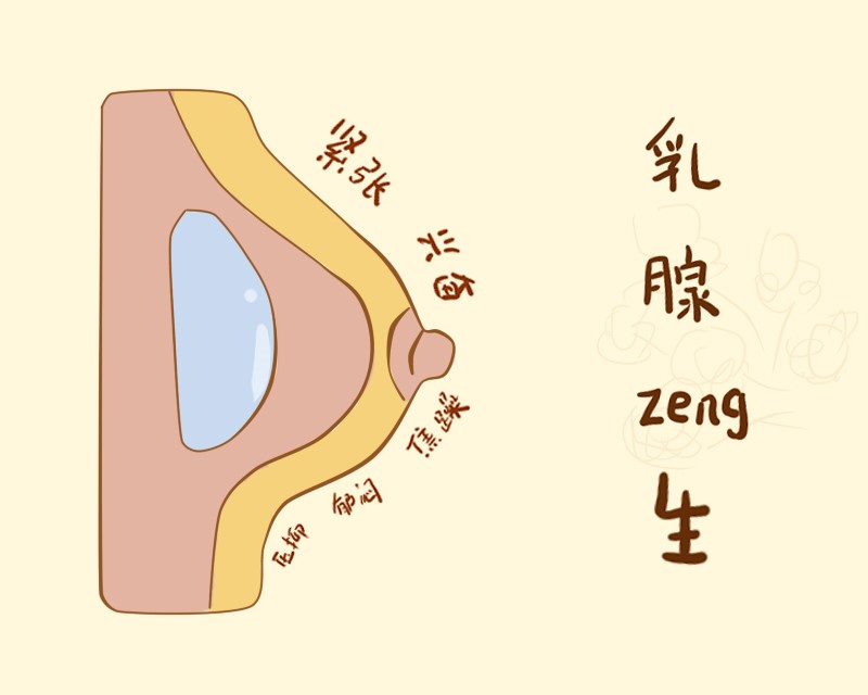 乳房有硬块,乳腺增生,乳腺炎该怎么办?这些事项请牢记