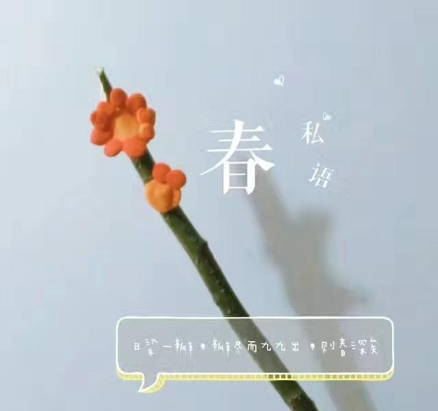 什么样才算有仪式感 5c52efc996ec4190b44202cf1aa9401b.jpeg
