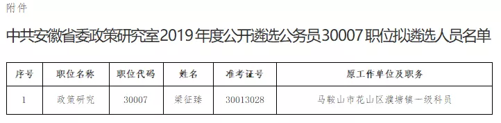 2019年安徽省委政策研究室公开遴选公务员拟遴选人员公示