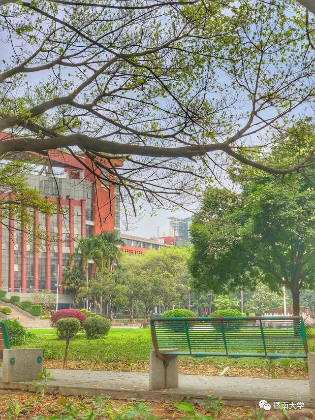 「校园」大学的花都开了,我却还没上学呀春意正浓