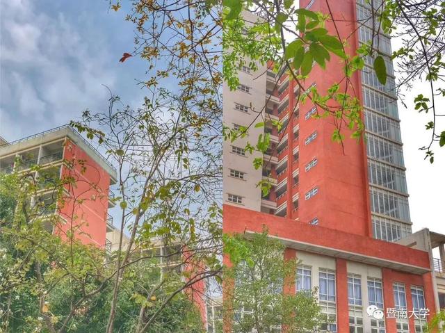 「校园」大学的花都开了,我却还没上学呀春意正浓