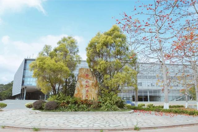 「校园」大学的花都开了，我却还没上学呀春意正浓