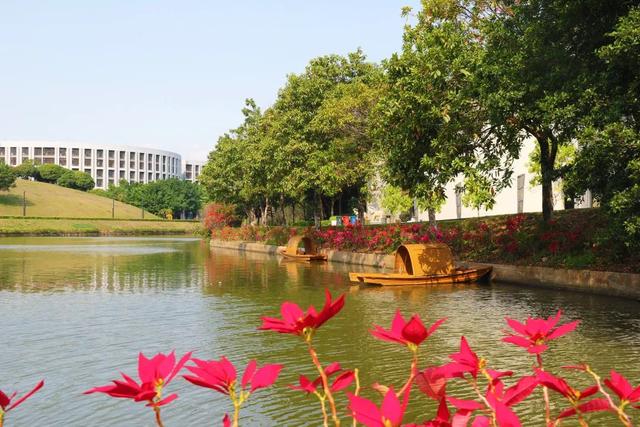 「校园」大学的花都开了，我却还没上学呀春意正浓