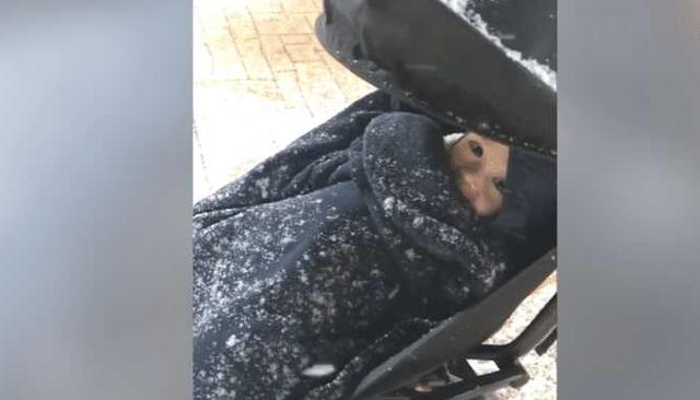 「表情」宝宝的表情亮了，网友：你琢磨啥呢？宝妈第一次带宝宝看雪