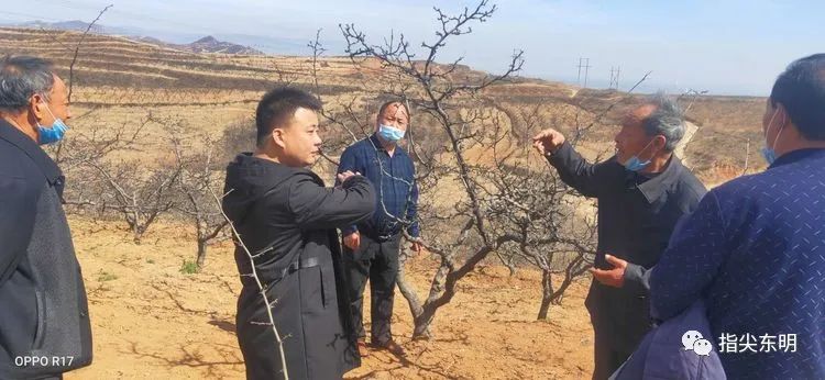 沙窝总人口_沙窝萝卜