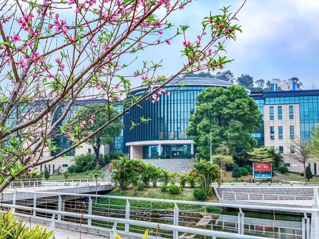 「校园」大学的花都开了，我却还没上学呀春意正浓