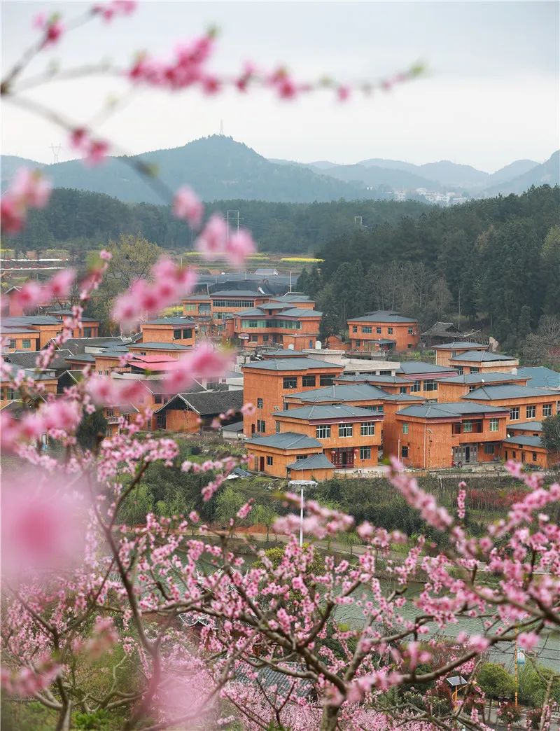 玉屏侗族自治县亚鱼乡沙子坳村春意盎然近日,玉屏侗族自治县亚鱼乡