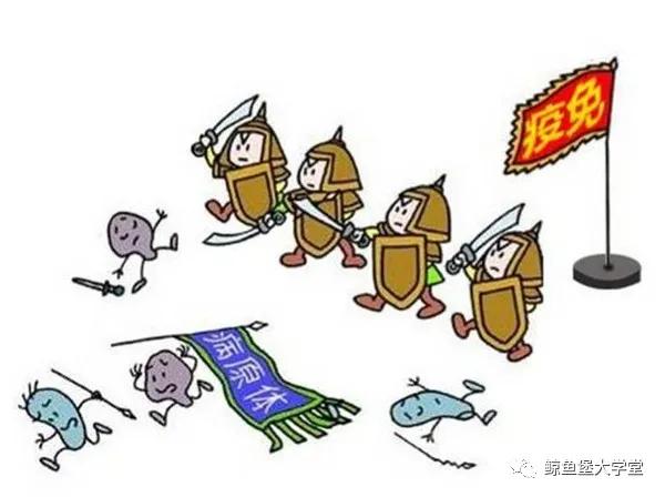 宝宝@这些你都做到了吗？如何提高孩子免疫力