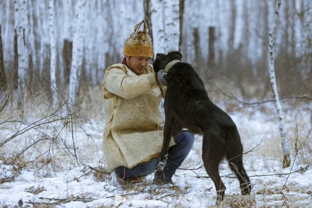 曾经称霸东北的猎犬,常被当做"土狗",如今面临消失的境地_鄂伦春人