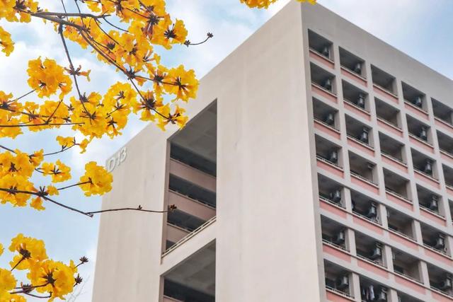 「校园」大学的花都开了，我却还没上学呀春意正浓