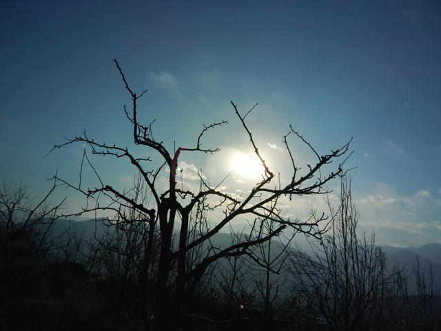 光和暗组诗把生命从死神的手里夺回来