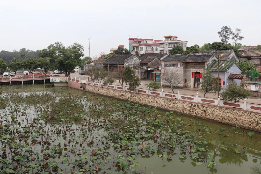 传说61最丹灶南海地名文化展览系列丹灶篇