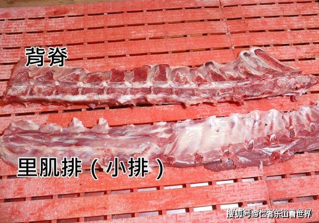 猪各部位肉的名称图片及料理方式