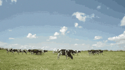 天赐好奶轻享有机生活