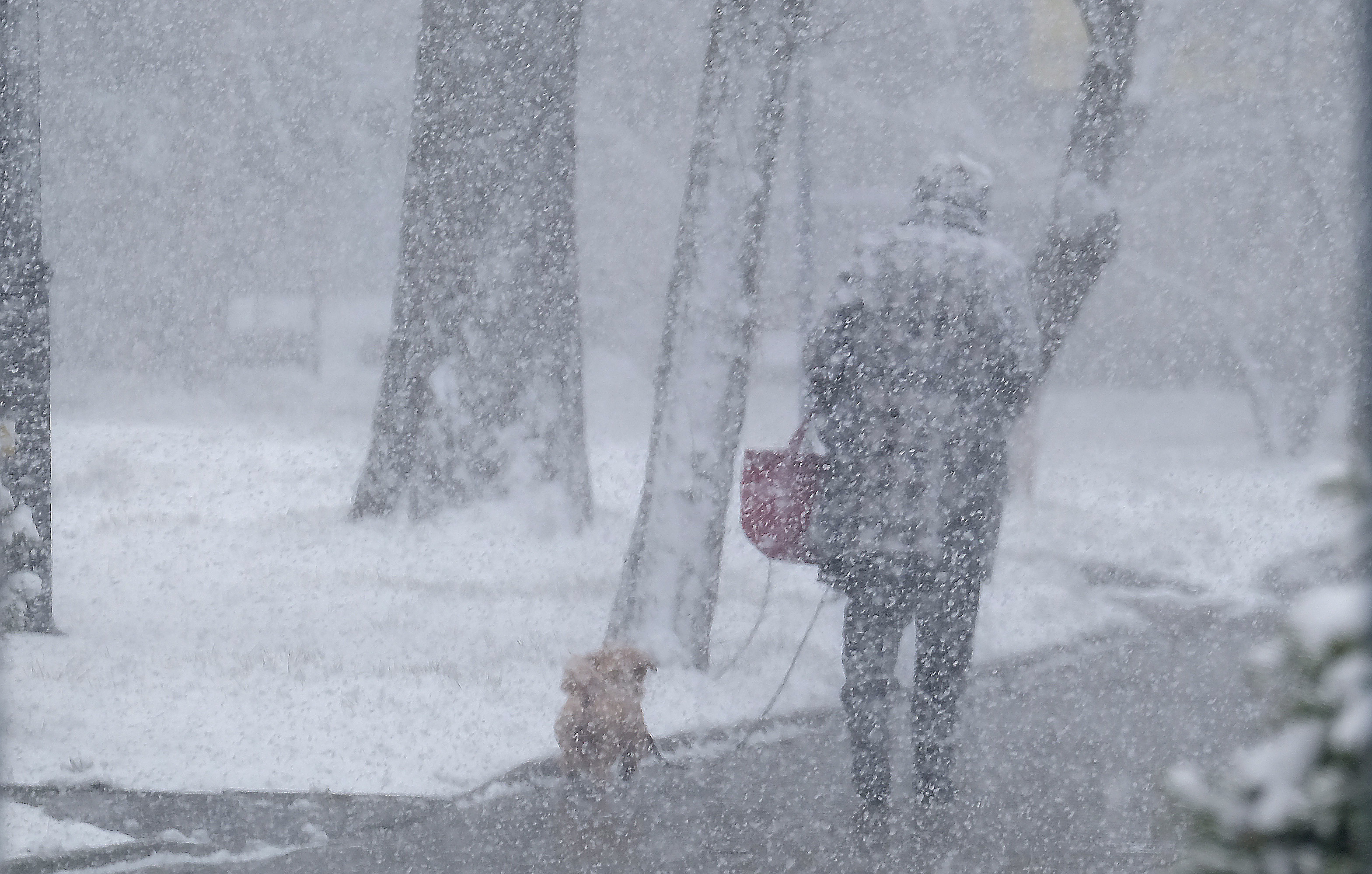 波兰南部降雪