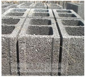目前市场中主要的产品类型有轻骨料混凝土空心砌块(如图1),陶粒加气