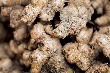 坚果变质后含有什么 de2d8babb64d48bd98145c55db90bdf2.jpeg