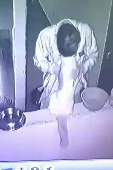 网友:还吸到扭腰跳舞,网友:重度成瘾没救了!男子看到流浪猫后竟这样吸猫