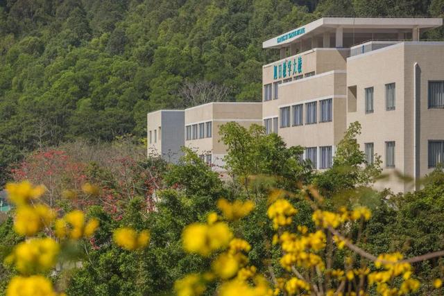 「校园」大学的花都开了，我却还没上学呀春意正浓