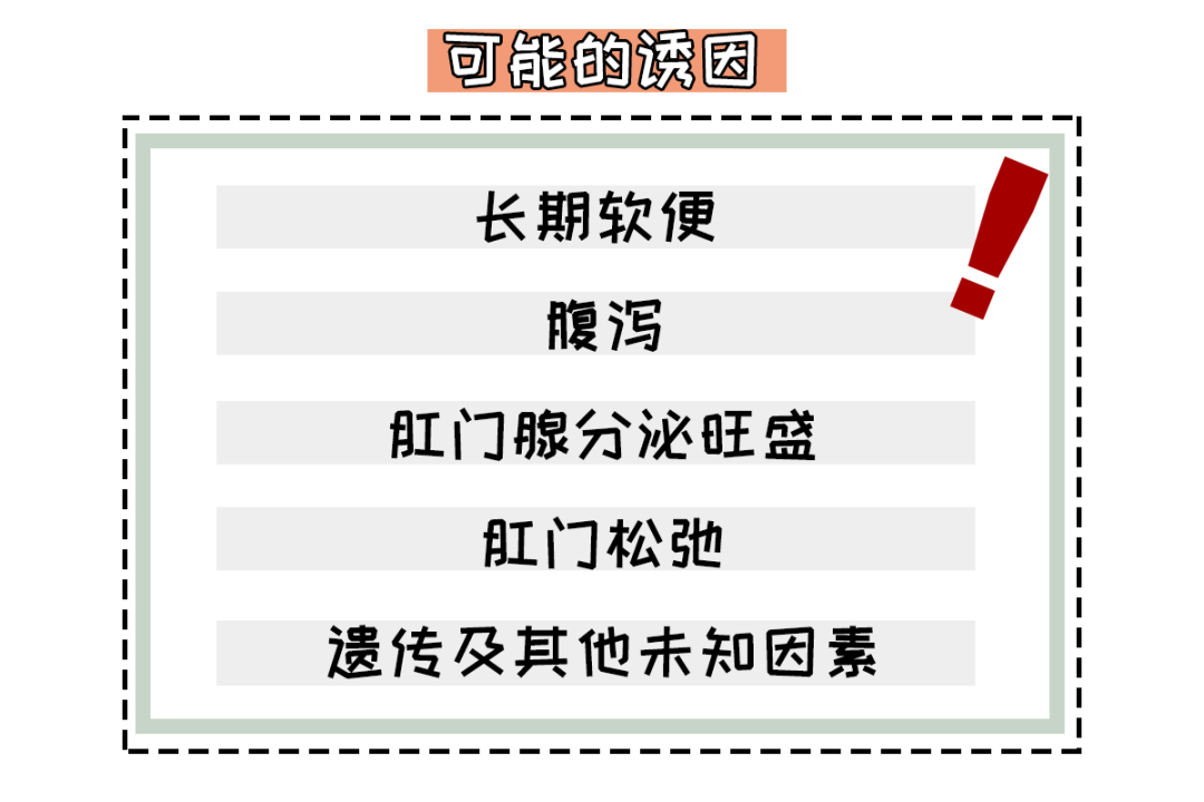 已经不常用了不过以上的两种作用起着威慑敌人的作用猫咪的肛门腺分泌