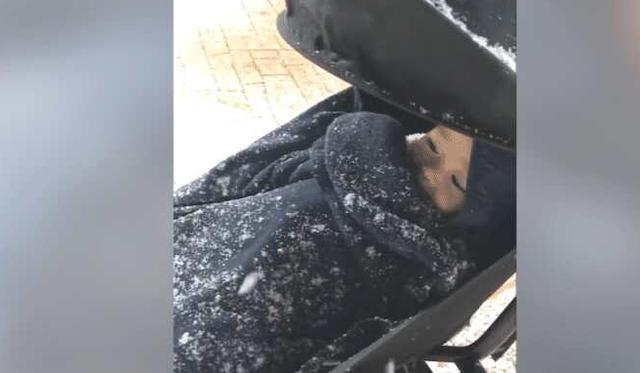 「表情」宝宝的表情亮了，网友：你琢磨啥呢？宝妈第一次带宝宝看雪