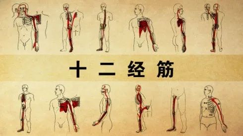 抗击疫情,气劲强体魄,"韵"舞展风华——中华韵"筋"之训练与健康